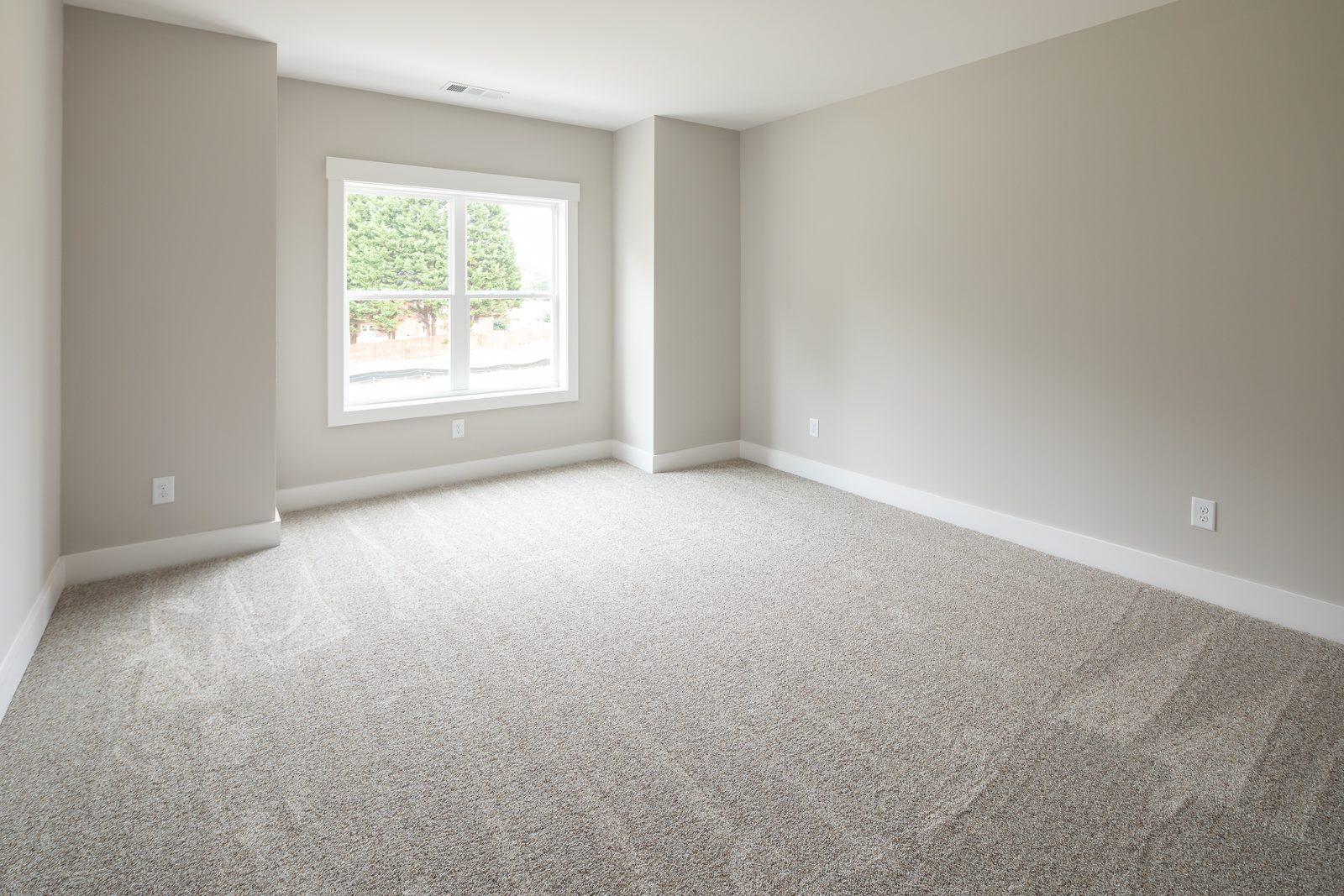 Carpeted bedroom with window and neutral walls — Shadburn Ferry, custom home built by Ironwood Construction Group in Buford, Georgia